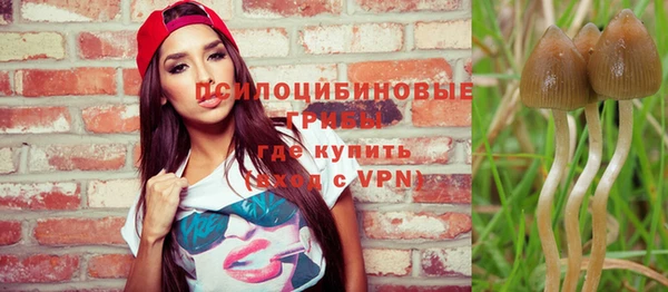 ECSTASY Пенза